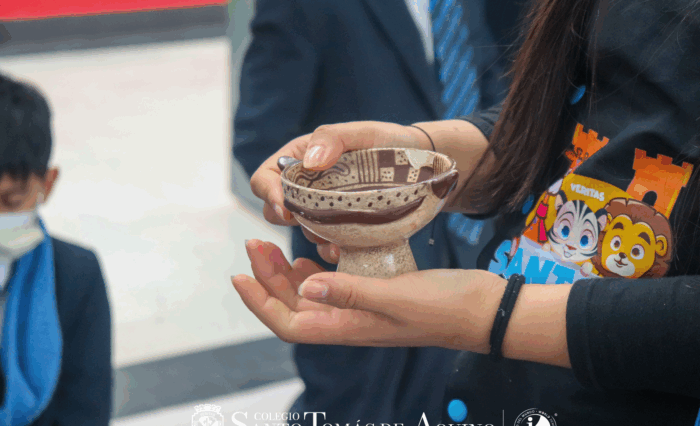 Mesa de trabajo 9 copia 2